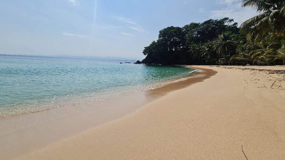 Punta Izopo manglares caimanes aves, 2 min Coco Cabañas Tela Honduras