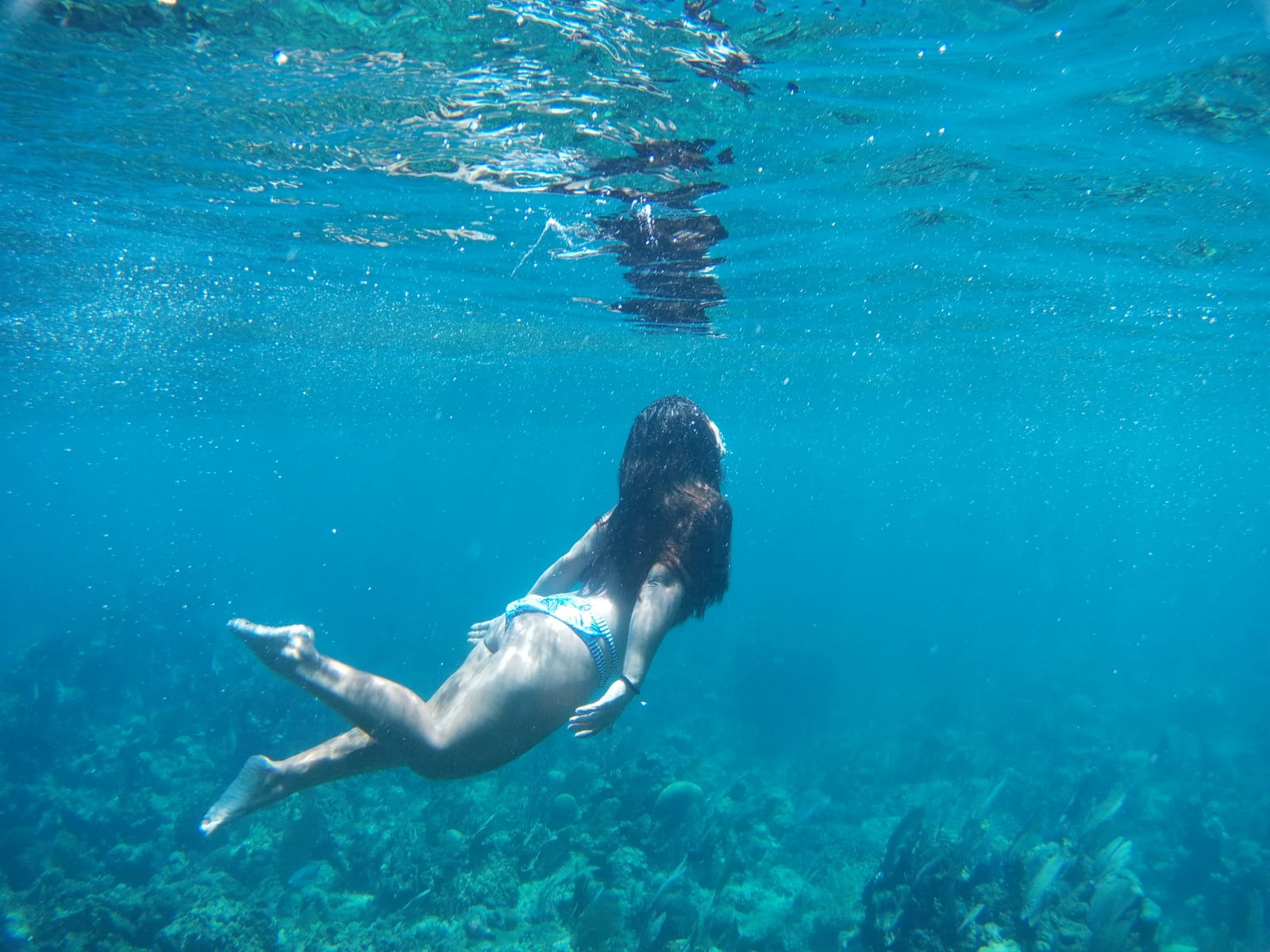 https://www.hotelcabanastela.com/wp-content/uploads/2026/06/Habitacion-de-Bahia-Azul-en-Tela-Honduras.webp